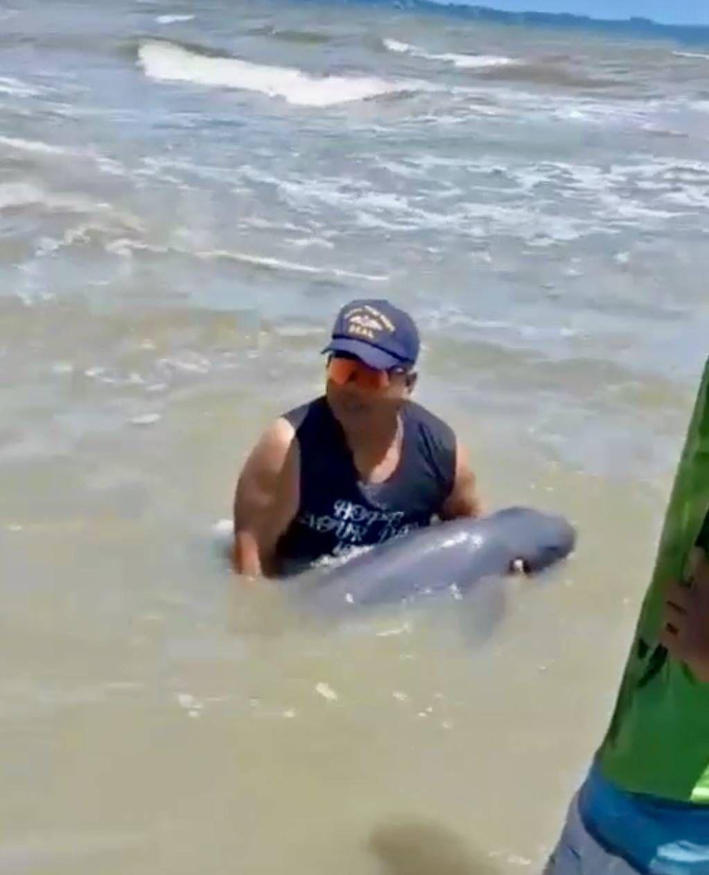 Baby Irrawaddy Dolphin Rescued at Bang Saen Beach Dies Despite Efforts